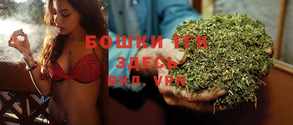 молекула духа Волосово